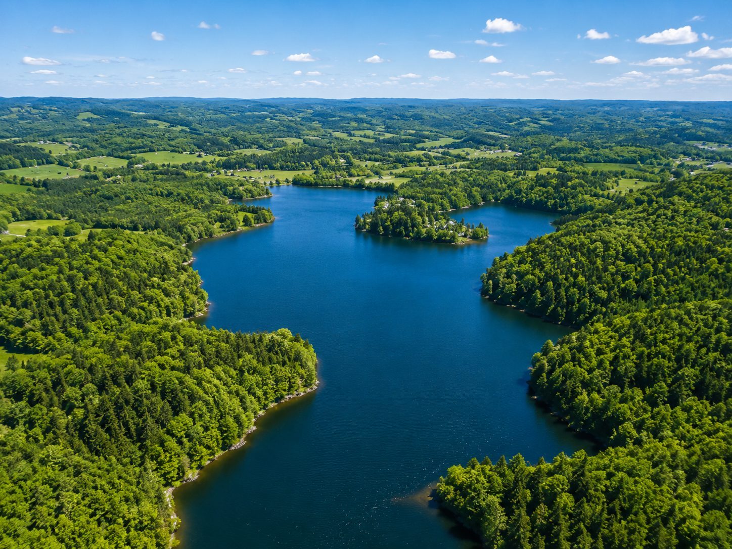 Rive boisée privée et baie navigable du lac Johnston